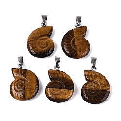 Œil De Tigre Pendentifs en oeil de tigre naturelles, charmes de conque, avec cliquet en acier inoxydable, couleur inox, 27.5~29.5x20~23x5.5~8.5mm, Trou: 7x4mm