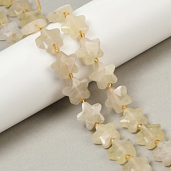 Лимонный Кварц Нити из натуральных бусин лимонного кварца (обработанных нагреванием), граненые, звезда, с бисером, 14~15x14x6 мм, отверстие : 1 мм, около 27 шт / нитка, 15.94'' (40.5 см)