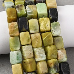 Змеевик Природные серпантину нитей бисера, кубоид, 12~13x8~10x8~10 мм, отверстие : 1 мм, около 30~31 шт / нитка, 14.76'' (37.5 см) ~ 14.96'' (38 см)