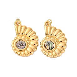 Shell Shape 304 подвески из натуральной ракушки пауа из нержавеющей стали, прелести морских животных, с прыжковых колец, реальный 18 k позолоченный, ионное покрытие (ip), формы раковины, 27x19x2.5 мм, отверстие : 2.5 мм