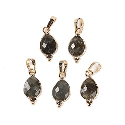 Лабрадорита Граненые подвески из натурального лабрадорита, позолоченные латунные подвески-капли, 17.5x9x3.5 мм, отверстие : 6x3.5 мм