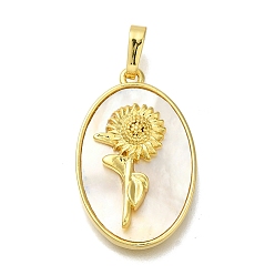 Цветок Латунные подвески-цветы в форме ракушек, овальные амулеты, реальный 18 k позолоченный, цветок, 25x16x4~5 мм, отверстие : 4x6.5 мм