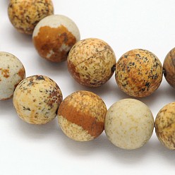 Picture Jasper Frosted Round Natural Picture Jasper Beads Strands, 6mm, Hole: 1mm, about 65pcs/strand, 15.3 inch