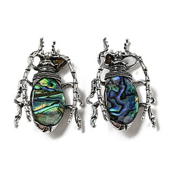 Colorful Dual-use Items Alloy Insects Brooch, with Natural Paua Shell, Antique Silver, Colorful, 49.5x35.5x15~16mm, Hole: 4x2.5mm
