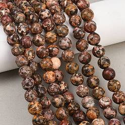 Леопардовая Яшма Натуральная кожа леопарда из яшмы, 10 мм, отверстие : 1 мм, около 39 шт / нитка, 14~15 дюйм