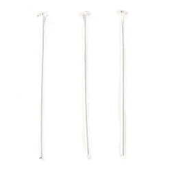 Посеребрённый Латунные шпильки с плоской головкой, 925 серебро покрытием, 24x0.6 мм, Руководитель: 2 mm