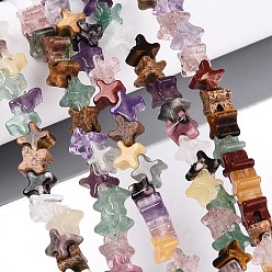 Смешанные камни Природных драгоценных камней смешанного бисер нитей, звезда, смешанные окрашенные и неокрашенные, 5.5~6x5.5~6x3.5~4.5 мм, отверстие : 0.7~1 мм, около 95~100 шт / нитка, 14.57~15.16'' (37~38.5 см)