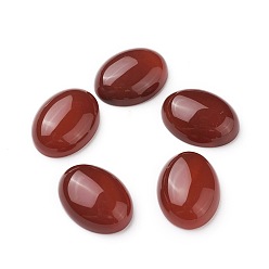 Carnelian Natural Red Agate/Carnelian Cabochons, Dyed, Oval, 20x15~15.5x6.5mm