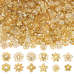 Oro 600 piezas 12 estilos de tapas de cuentas de hierro y aleación, sin plomo y el cadmio, flor, dorado, 6~10x1.5~4.5 mm, agujero: 0.5~2 mm, 50 piezas / estilo