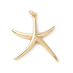 Настоящее золото 18K Латунные подвески, с целью перехода в кольце, морская звезда, без свинца и без кадмия, долговечный, стойки покрытие, реальный 18 k позолоченный, 30.5x26.5x3.5 мм, отверстие : 3.2 мм