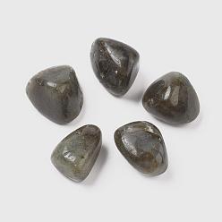 Labradorite 5Pcs Natural Labradorite Beads, Tumbled Stone, Vase Filler Gems, No Hole/Undrilled, Nuggets, 20~35x13~23x8~22mm