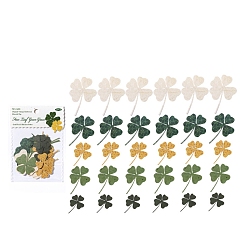 Клевер Блокнот для альбомов, для альбома для вырезок diy, поздравительная открытка, справочная бумага, разноцветные, клевер, 28~50x21~38x0.1 мм, 5 стили, 6 шт / стиль, 30 шт / комплект