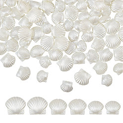 Белый 240шт. 3 стили перламутровых непрозрачных смоляных бусин, формы раковины, белые, 11~14x12.5~16x6.5~7.5 мм, отверстие : 1.4~1.8 мм, 80 шт / стиль