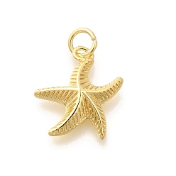 Настоящее золото 18K Латунные подвески, с целью перехода в кольце, долговечный, без свинца и без кадмия, прелести морская звезда, реальный 18 k позолоченный, 15.5x14.5x3.5 мм, отверстие : 3.5 мм