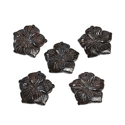 Бронзит Резные подвески из натурального бронзита, , 28.5x29.5x5 мм, отверстие : 1.2 мм