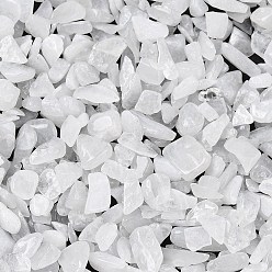 Белый Нефрит Бусины из натурального белого нефрита, нет отверстий / незавершенного, 2~8x2~4 мм, Около 8500 шт / 500 г