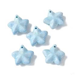 Светло-Голубой Натуральные радужные агатовые подвески из алашана, окрашенные, звезды прелести, Небесно-голубой, 13~13.5x14~14.5x5~5.5 мм, отверстие : 1.2 мм