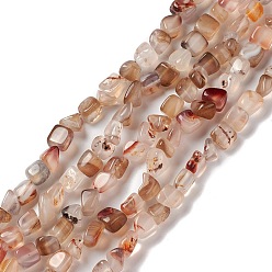 Верблюжий Природный агат бисер нитей, самородки, верблюжие, 5~11x5~12x5~11 мм, отверстие : 1~1.4 мм, около 39~50 шт / нитка, 14.17~14.96 дюйм (36~38 см)