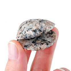 Джаспер Кунжут Украшения дисплея яшмы натурального кунжута, для домашнего офисного стола, формы раковины, 30~35 мм