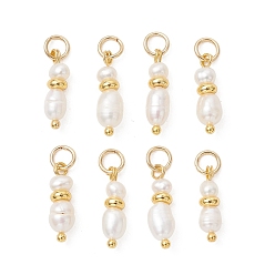 Золотой Подвески из натурального пресноводного жемчуга, Подвески из бисера в виде риса и картофеля с 304 соединительными кольцами из нержавеющей стали, белые, золотые, 13.5~16x4~5 мм, отверстие : 3.5 мм