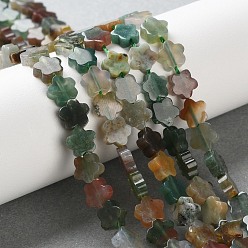 (RRHB277) Кристалл на подкладке из медово-бежевого цвета Природного индийского агата бисер нитей, цветка сливы, 6~6.5x6x2.5 мм, отверстие : 0.7 мм, около 63 шт / нитка, 14.76'' (37.5 см)