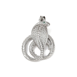 Платина Латунные микро проложить кубического циркония подвески, без кадмия и без свинца, змея, платина, 27.5x20x8 мм, отверстие : 3.5x3.5 мм