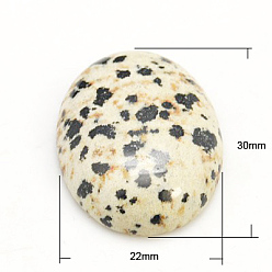 Далматинских Джаспер Кабошоны из камня, овальные, природные яшмы далматин, 30x22x5~7 мм