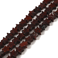 Брекчированных Джаспер Природные брекчированных яшмы бисер нитей, звезда, 6x5.5x2 мм, отверстие : 0.8 мм, около 75 шт / нитка, 14.57 дюйм (37 см)