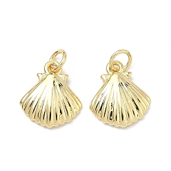 Настоящее золото 18K Латунь прелести, подвески в форме ракушек, стойки покрытие, долговечный, без кадмия и без свинца, реальный 18 k позолоченный, 14x12.5x3 мм, Перейти кольцо: 5x1 мм, внутренний диаметр: 3 мм