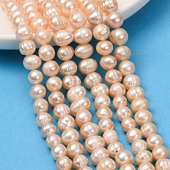Papaye Brins de perles de culture d'eau douce naturelles, pomme de terre, note 2a++, papayawhip, 7~8mm, Trou: 0.6mm, Environ 50 pcs/chapelet, 13.39'' (34 cm)