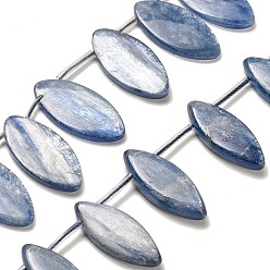 Кианит Натуральный кианитовые бисер пряди, лошадиный глаз , Топ пробуренной, с пластиковыми трубчатыми бусинами, 25~25.5x12~13x2.5~3.5 мм, отверстие : 0.6~0.7 мм, около 25 шт / нитка, 15.94''~16.14'' (40.5~41 см)