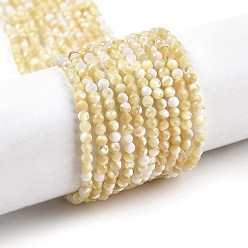 Цвет Древесины Натуральные бусины из ракушек трохуса, граненые, круглые, деревесиные, 2~2.5 мм, отверстие : 0.5 мм, около 187~215 шт / нитка, 16.02~16.14 дюйм (40.7~41 см)