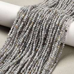 Лабрадорита Природные лабрадорита бисер нитей, граненые круглые, 2 мм, отверстие : 0.5 мм, около 194~199 шт / нитка, 15.55~15.91 дюйм (39.5~40.4 см)