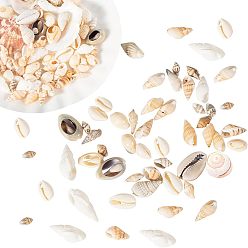 Seashell Color Mixed Shell Beads, Mixed Shapes, Seashell Color, 250g/set