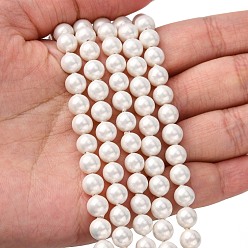 White Shell Bead Strands, Imitation Pearl Bead, Grade A, Round, White, 6mm, Hole: 0.5mm, 63~64pcs/strand, 15 inch