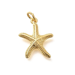 Настоящее золото 18K Латунные подвески, морская звезда, стойки покрытие, долговечный, без свинца и без кадмия, реальный 18 k позолоченный, 18x14.5x3 мм, отверстие : 3 мм