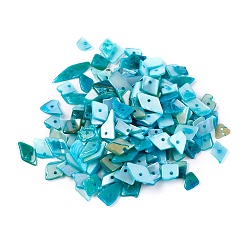 Темно-бирюзовый Стеклянные бусы, окрашенные, чипсы наггетс, темные бирюзовый, 6.2~15.2x4.3~7.3x0.4~3.8 мм, отверстие : 1 мм