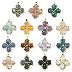 Смешанные камни Граненые подвески из натуральных смешанных камней, Подвески в виде клевера с латунными застежками с гальваническим покрытием., золотые, смешанные окрашенные и неокрашенные, 30~31x25.5x5.5~6 мм, отверстие : 4x3 мм
