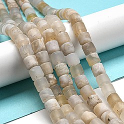Cherry Blossom Agate Natural Cherry Blossom Agate Beads Strands, Frosted, Column, 8x8mm, Hole: 1mm, about 49~50pcs/strand, 14.96''~15.16''(38~38.5cm)