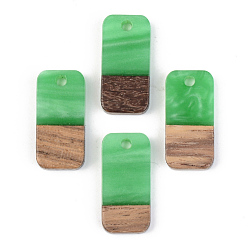Зеленый Подвески из непрозрачной смолы и ореха, прямоугольные, зелёные, 21.5x10x3 мм, отверстие : 2 мм
