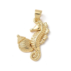 Sea Horse Латунные подвески, реальный 18 k позолоченный, морской конек, 23x16x3 мм, отверстие : 3.5x4.4 мм