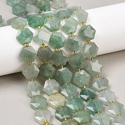 Зеленый Авантюрин Естественный зеленый авантюрин бисер нитей, с бисером, граненый шестиугольный разрез, шестиугольник, 12x13~13.5x5.5~6 мм, отверстие : 1.2 мм, около 28 шт / нитка, 15.55 дюйм (39.5 см)