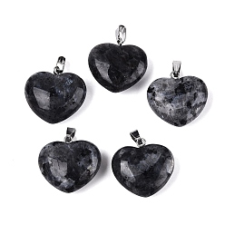 Larvikite Подвески из натурального ларвикита, сердце прелести, с защелкой из нержавеющей стали на поручнях, цвет нержавеющей стали, 21~24x22~24x8.5~11.5 мм, отверстие : 6.5~7.5x2~3 мм