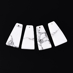 Говлит Природные подвески Говлит, граненые трапециевидные подвески, 24.5~25.5x12.5~13.5x3.5~4.5 мм, отверстие : 1~1.2 мм