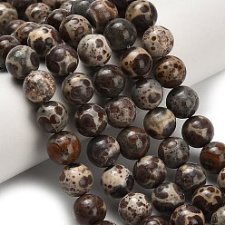 Природный Драгоценный Камень Нити бусин из натуральной яшмы астроита, круглые, 8~8.5 мм, отверстие : 0.7 мм, около 43~45 шт / нитка, 14.76~14.96 дюйм (37.5~38 см)