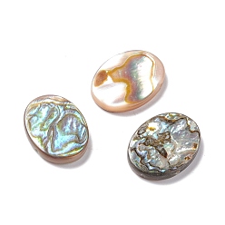 Colorful Sea Shell Penndants, Oval, Colorful, 18x13x2mm, Hole: 0.7mm