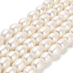 Floral White Natural Cultured Freshwater Pearl Beads Strands, Rice, Grade A, Floral White, 10.5~12x9.5~10mm, Hole: 0.6mm, about 31~34pcs/strand, 14.57 inch(37cm)