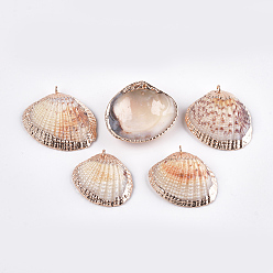 Seashell Color Electroplate Sea Shell Pendants, with Iron Findings, Light Gold, Seashell Color, 27~34x31~38x9~11mm, Hole: 1mm