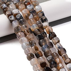 Темно-Серый Природных вены драконов агат бисер нитей, окрашенная и подогревом, кубические, темно-серый, 7~8x7~8x7~8 мм, отверстие : 0.9 мм, около 56 шт / нитка, 14.57'' (37 см)