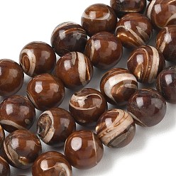 Coconut Brown Natural Trochus Shell Beads Strands, Smooth Round, Coconut Brown, 12.5mm, Hole: 1mm, about 32pcs/strand, 14.96''(38cm)